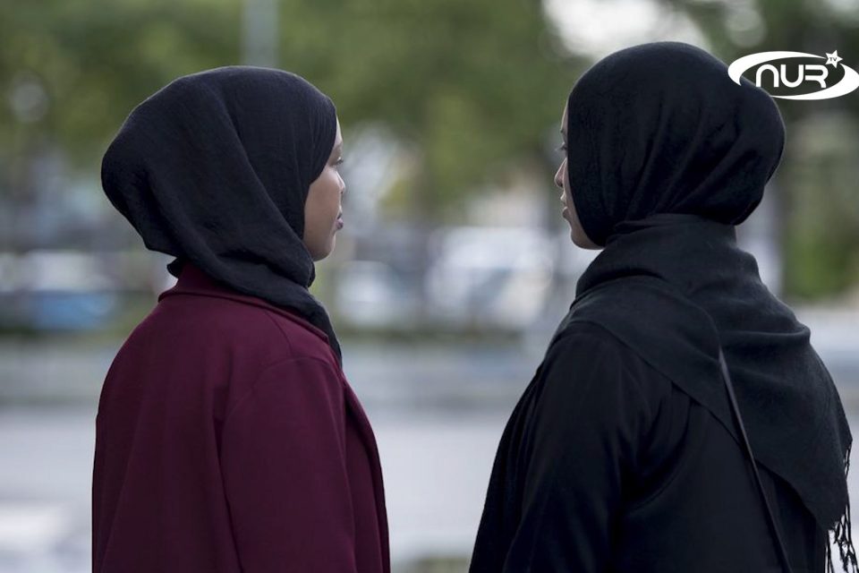 Швеция ополчилась против мусульман!